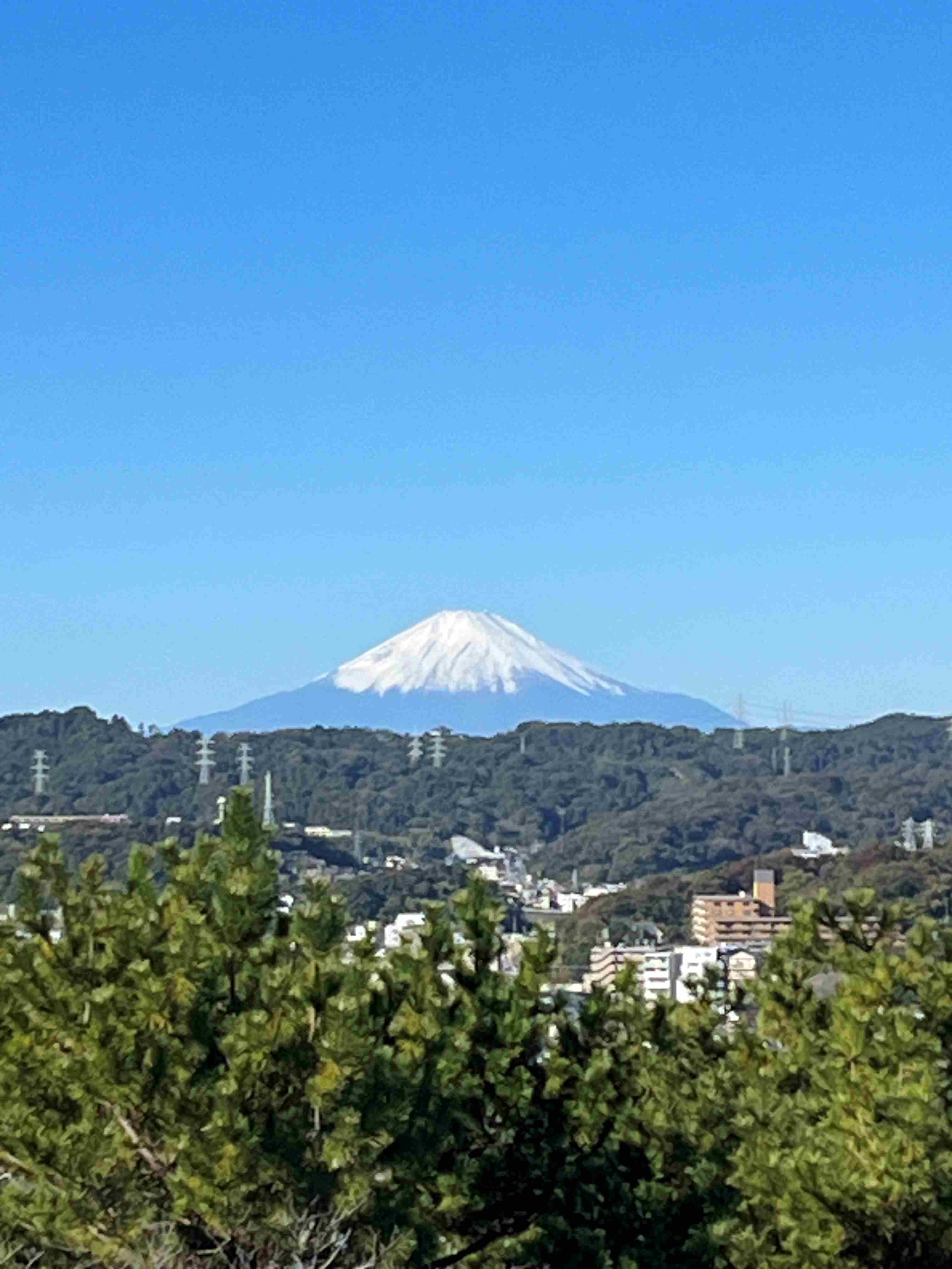 富士山231119.jpg小