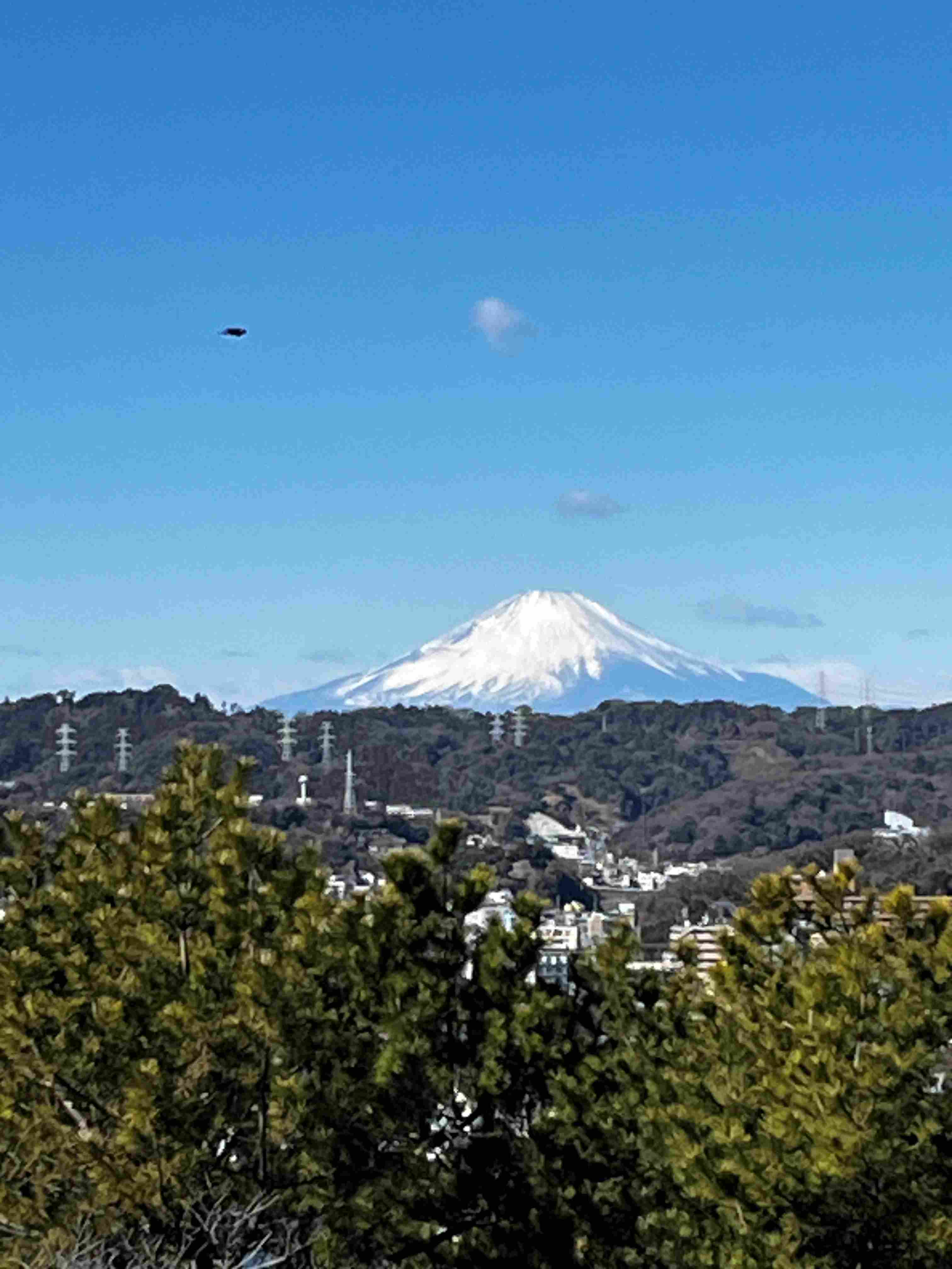 富士山250219.jpg小