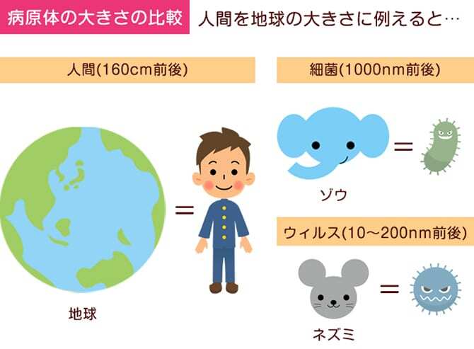 ウイルスと細菌イラスト