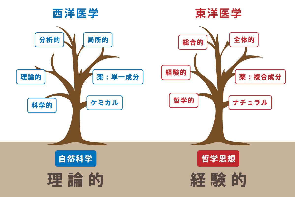 東洋医学と西洋医学イラスト
