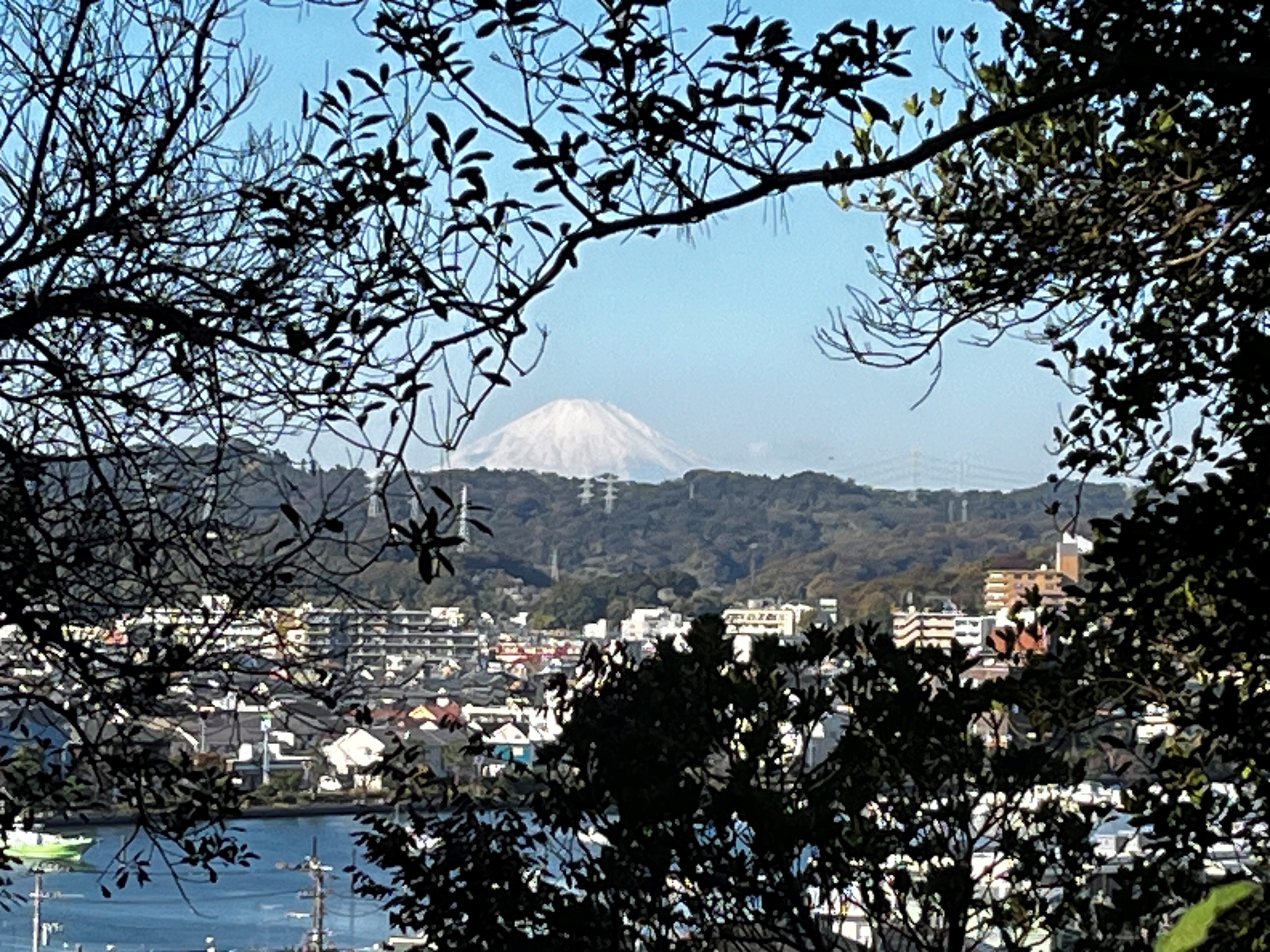 富士山２５１１２６